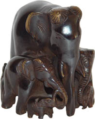 ELEPHANT FAMILY